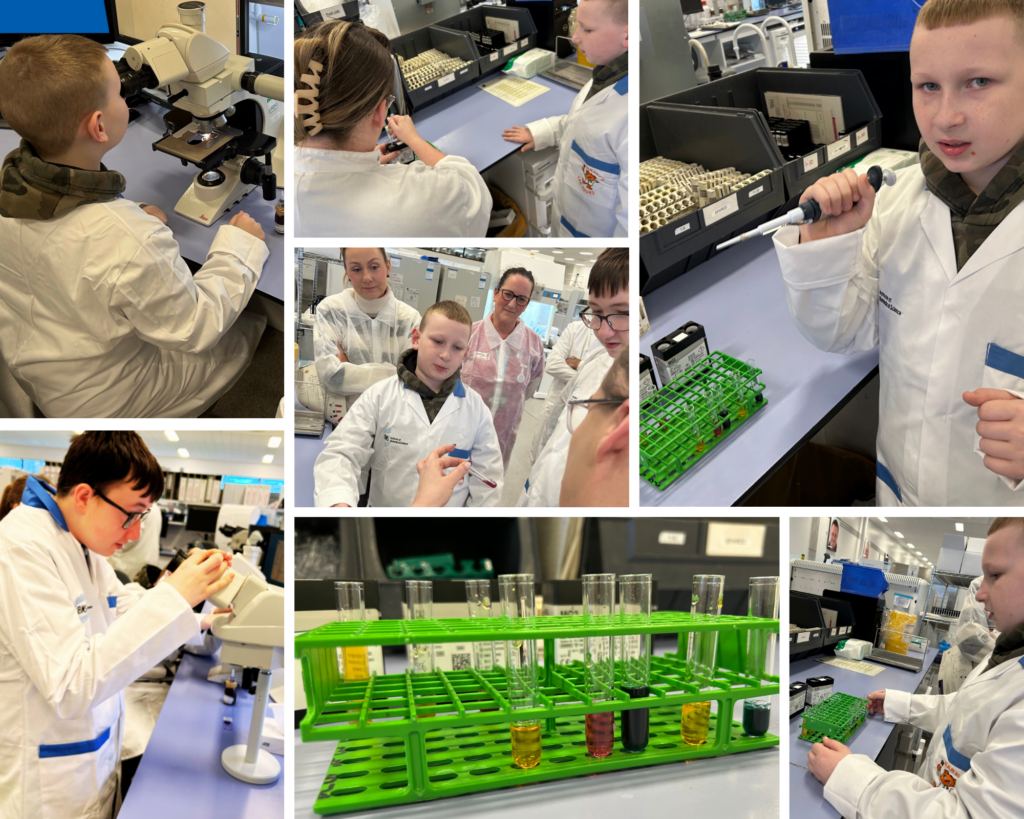 A montage of photos featuring staff and visitors to the pathology labs.